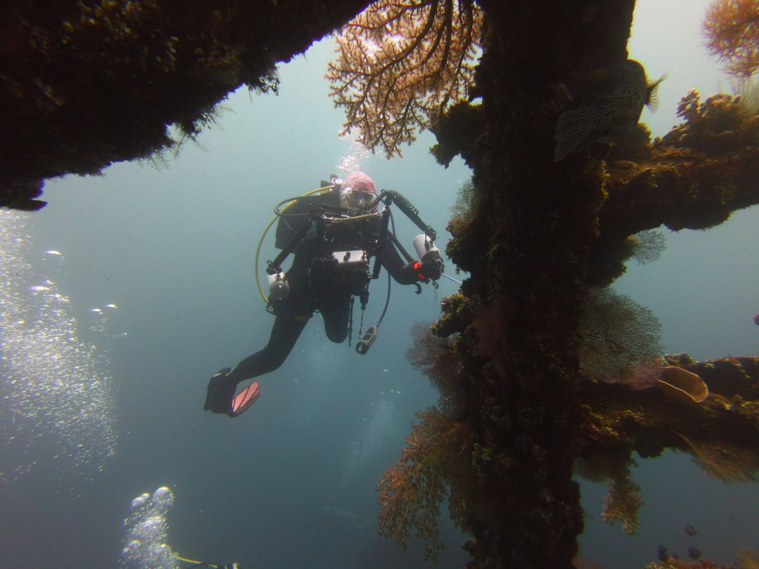 Scuba Diving