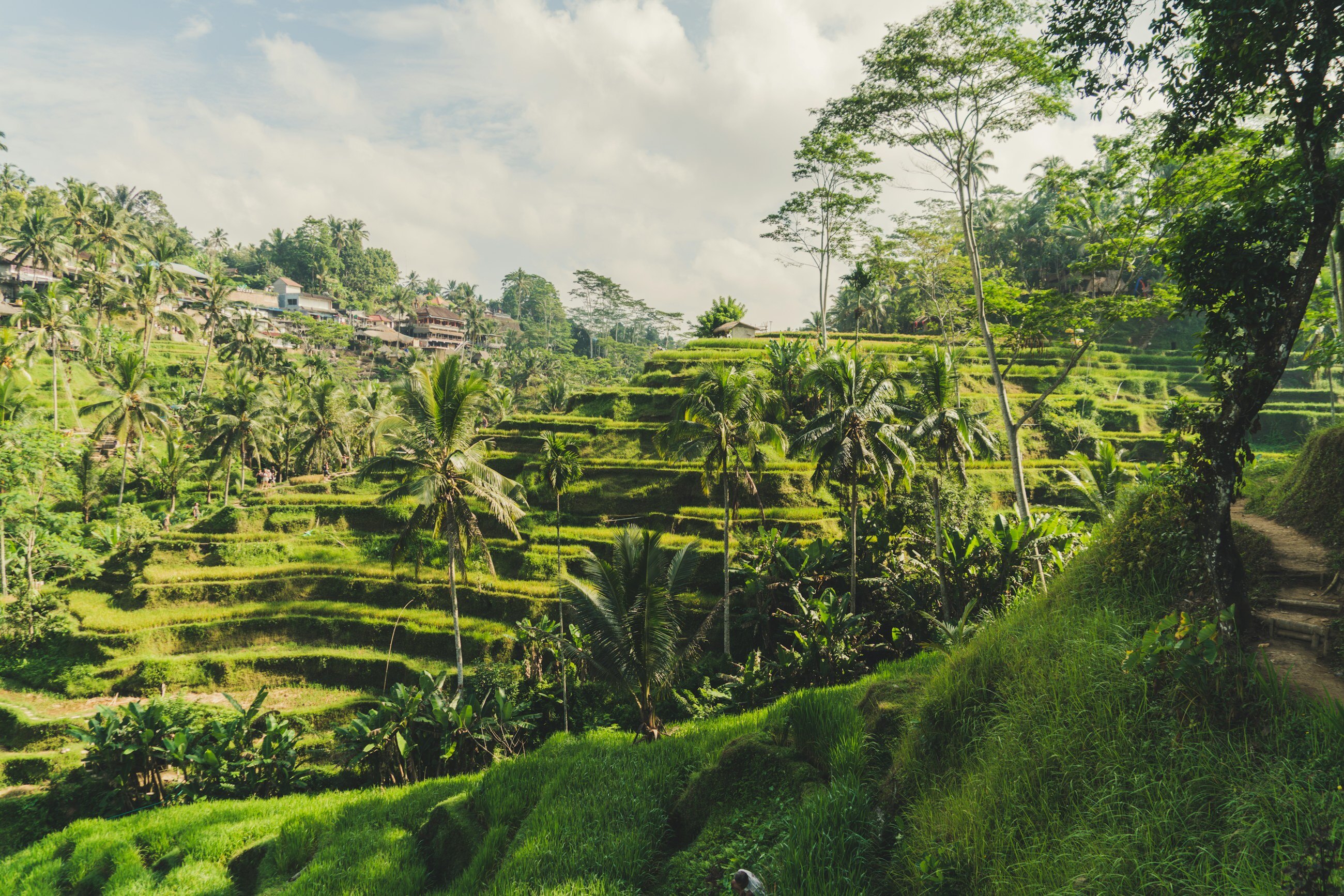 North Bali Escape – photo 1