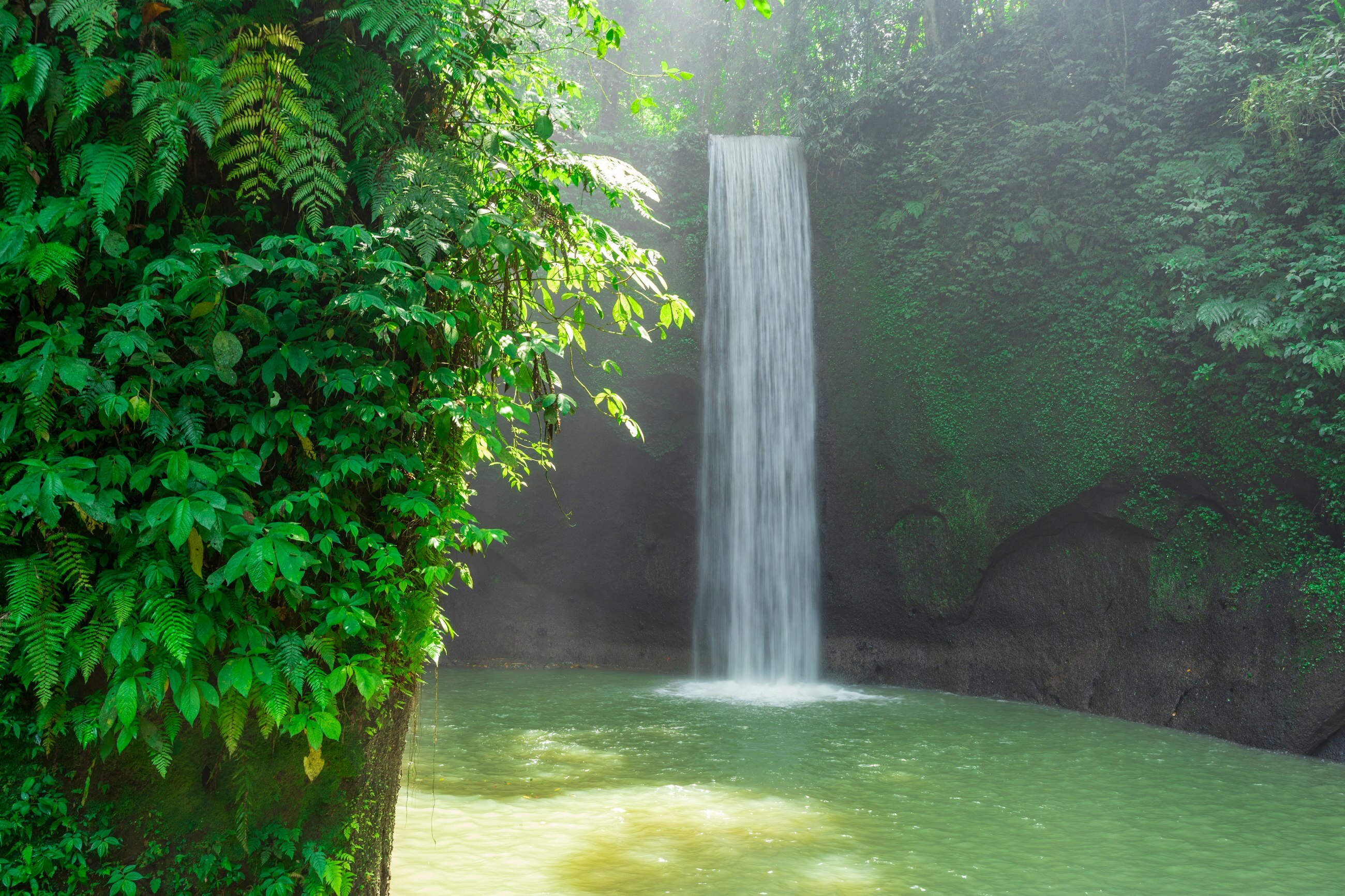 Ubud Full Day – photo 1