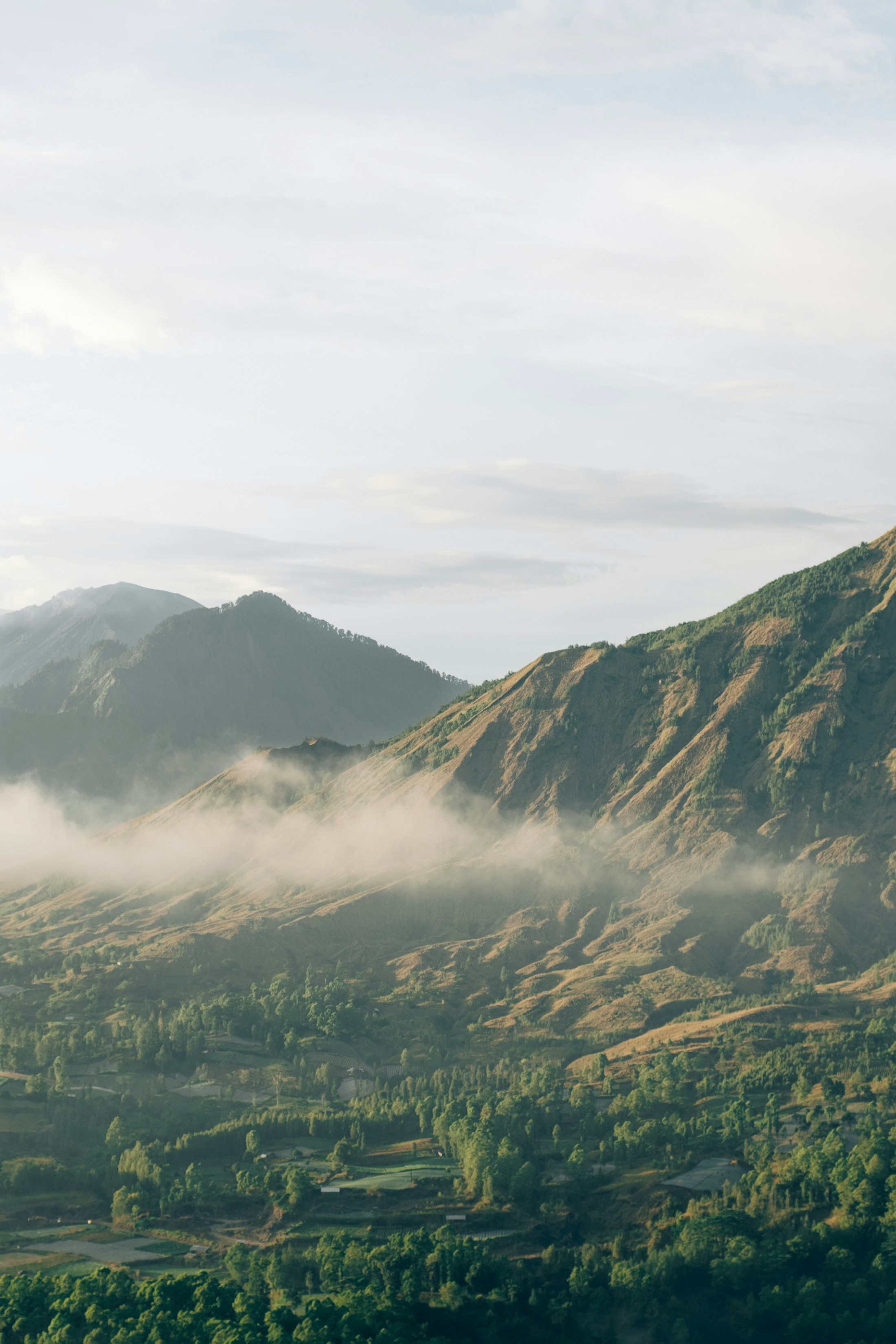 Kintamani & Besakih – photo 1